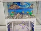 Aquarium for sale