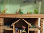 Aquarium for sell