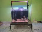 Aquarium Setup without Fish