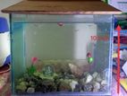 Aquarium for sell