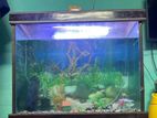 Aquarium for sell