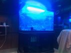 Aquarium for sell