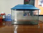 Aquarium for sale