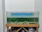 Aquarium for sell