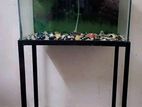 Aquarium for sell