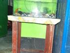 Aquarium for sale