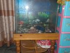 Aquarium for sell