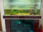 Aquarium for sale