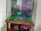 Aquarium for sell