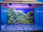 Aquarium