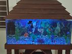 Aquarium