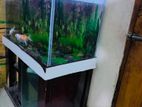Aquarium