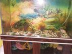 Aquarium with fish sell