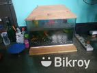 Aquarium for sale