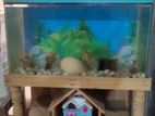 aquarium sell