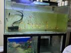 Aquarium