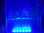 Aquarium