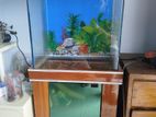 Aquarium for sell