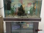Aquarium For Sale