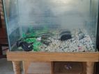 Aquarium