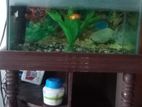 Aquarium for sell