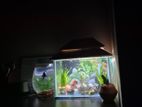 Aquarium for sell