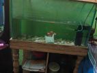aquarium sell