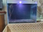 Aquarium.