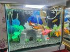 Aquarium for sell