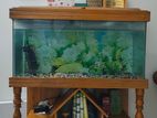 Aquarium sell