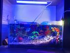 Aquarium