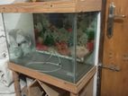Aquarium For Sell