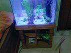 Aquarium For Sell