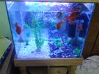 Aquarium for sell