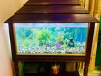 Aquarium for sell