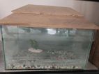 Aquarium for sale