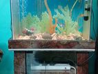 Aquarium