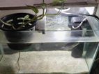 Aquarium