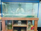 Aquarium For Sale
