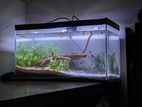 Aquarium For sale