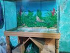 Aquarium for sale