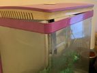 Aquarium For Sale