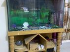 Aquarium for sale