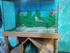 Aquarium for sale