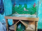 Aquarium For Sale