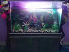 Aquarium For Sale