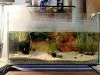 Aquarium For Sale