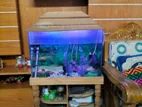 Aquarium For Sale