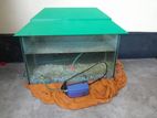 Aquarium For Sale