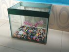 Aquarium for sale